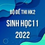 Bộ đề thi HK2 môn Sinh Học 11 năm 2021-2022