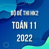 Bộ đề thi HK2 môn Toán lớp 11 năm 2021-2022