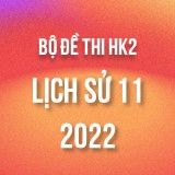 Bộ đề thi HK2 môn Lịch Sử lớp 11 năm 2021-2022