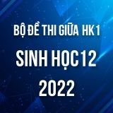 Bộ đề thi giữa HK1 môn Sinh học lớp 12 năm 2022-2023