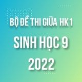 Bộ đề thi giữa HK1 môn Sinh học 9 năm 2022-2023