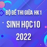 Bộ đề thi giữa HK1 môn Sinh học 10 năm 2022-2023