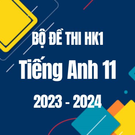 Bộ đề thi HK1 môn Tiếng Anh 11 năm 2023-2024