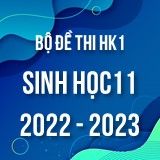 Bộ đề thi HK1 môn Sinh học 11 năm 2022-2023