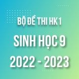 Bộ đề thi HK1 môn Sinh học 9 năm 2022-2023