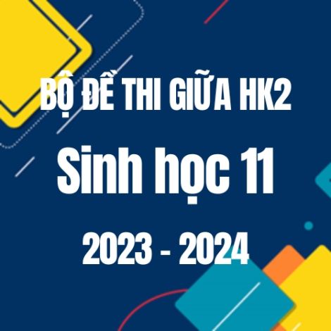 Bộ đề thi giữa HK2 môn Sinh học 11 năm 2023-2024