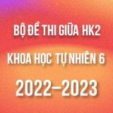 Bộ đề thi giữa HK2 môn Khoa học tự nhiên 6 năm 2022-2023