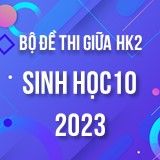 Bộ đề thi giữa HK2 môn Sinh học lớp 10 năm 2022-2023