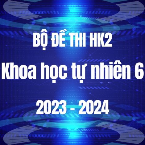 Bộ đề thi HK2 môn KHTN lớp 6 năm 2023-2024