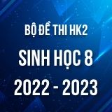 Bộ đề thi HK2 môn Sinh học 8 năm 2022-2023