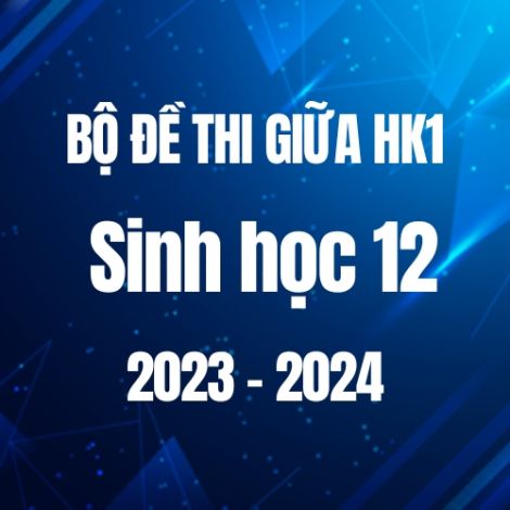 Bộ đề thi giữa HK1 môn Sinh học 12 năm 2023-2024