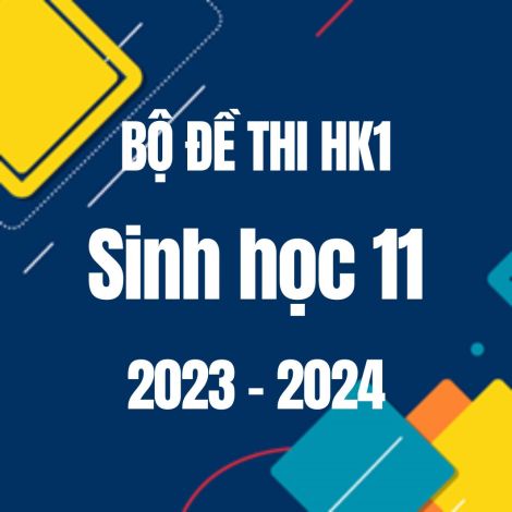 Bộ đề thi HK1 môn Sinh học 11 năm 2023-2024