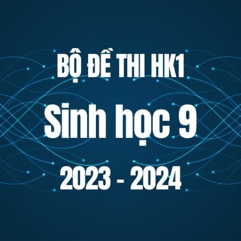 Bộ đề thi HK1 môn Sinh học 9 năm 2023-2024
