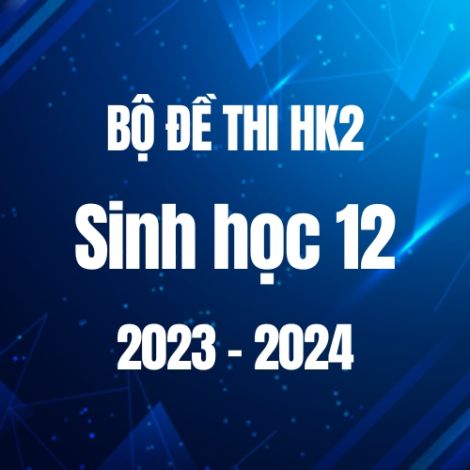 Bộ đề thi HK2 môn Sinh học lớp 12 năm 2023-2024
