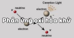 Bài 17: Phản ứng oxi hóa khử