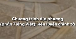 Soạn bài Chương trình địa phương (phần Tiếng Việt): Rèn luyện chính tả - Ngữ văn 6