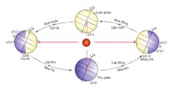 Bài 8: Sự chuyển động của Trái Đất quanh mặt Trời
