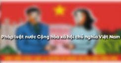 Bài 21: Pháp luật nước Cộng hòa xã hội chủ nghĩa Việt Nam