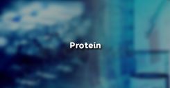 Bài 53: Protein