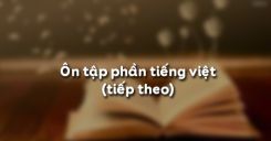 Ôn tập phần tiếng Việt (tiếp theo)