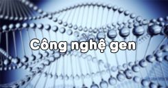 Bài 32: Công nghệ gen