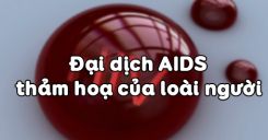 Bài 65: Đại dịch AIDS - thảm hoạ của loài người