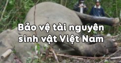 Bài 38: Bảo vệ tài nguyên sinh vật Việt Nam