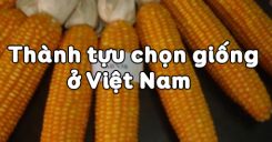Bài 37: Thành tựu chọn giống ở Việt Nam