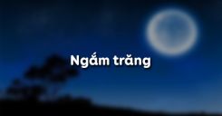 Soạn bài Ngắm trăng của Hồ Chí Minh - Ngữ văn 8