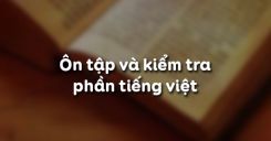 Ôn tập và kiểm tra phần tiếng Việt