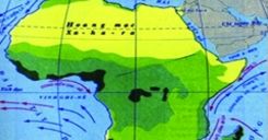Bài 28: Thực hành Phân tích lược đồ phân bố các môi trường tự nhiên, biểu đồ nhiệt độ và lượng mưa ở châu Phi