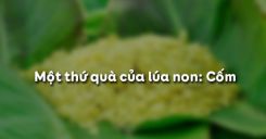 Một thứ quà của lúa non: Cốm - Thạch Lam