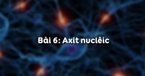 Sinh học 10 Bài 6: Axit nuclêic - HOC247