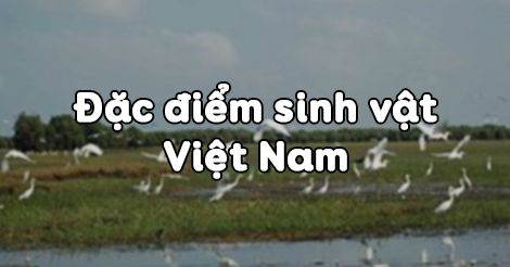 Địa lí 8 Bài 37: Đặc điểm sinh vật Việt Nam - Trường Tiểu học Thủ Lệ