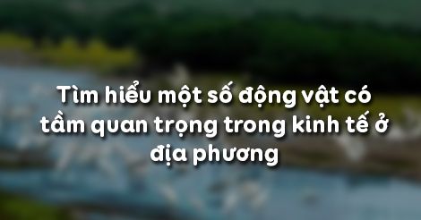 Sinh học 7 Bài 61, 62: Tìm hiểu một số động vật có tầm quan trọng trong kinh tế ở địa phương - Trường Tiểu học Thủ Lệ