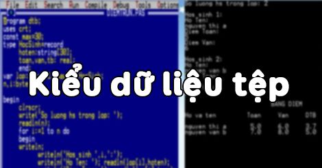 Làm thế nào để đọc và ghi dữ liệu vào các tệp kiểu trong lập trình? 
