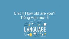 Unit 4: How old are you?