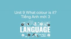 Unit 9: What colour is it?