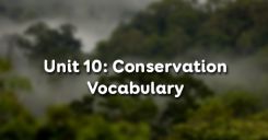 Unit 10: Conservation - Vocabulary