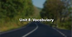 Unit 8: Vocabulary - Từ vựng