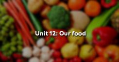 Unit 12: Our food