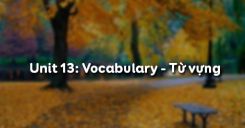 Unit 13: Vocabulary - Từ vựng