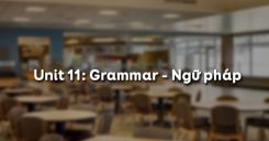 Unit 11: Grammar - Ngữ pháp