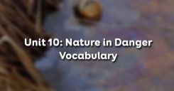 Unit 10: Nature in Danger - Vocabulary
