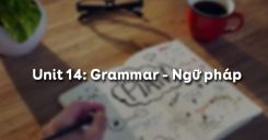 Unit 14: Grammar - Ngữ pháp