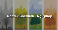 Unit 13: Grammar - Ngữ pháp
