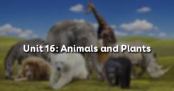 Unit 16: Animals and Plants