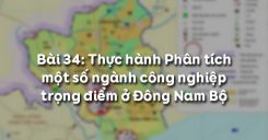 Bài 34: Thực hành Phân tích một số ngành công nghiệp trọng điểm ở Đông Nam Bộ