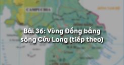 Bài 36: Vùng Đồng bằng sông Cửu Long (tiếp theo)