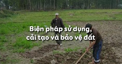 Công nghệ 7 Bài 6: Biện pháp sử dụng, cải tạo và bảo vệ đất - Trường Tiểu học Thủ Lệ